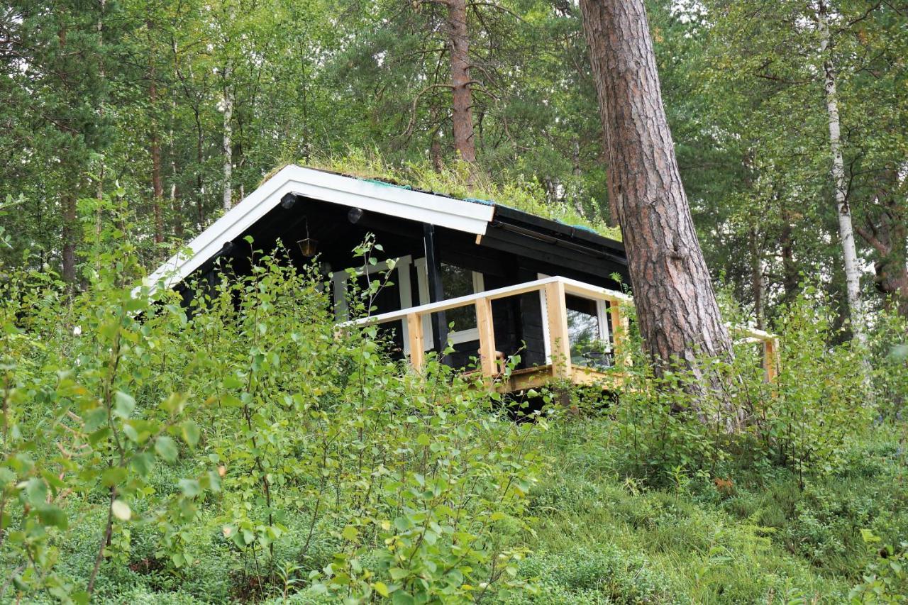 Bed & Breakfast Birk Bed & Birds *