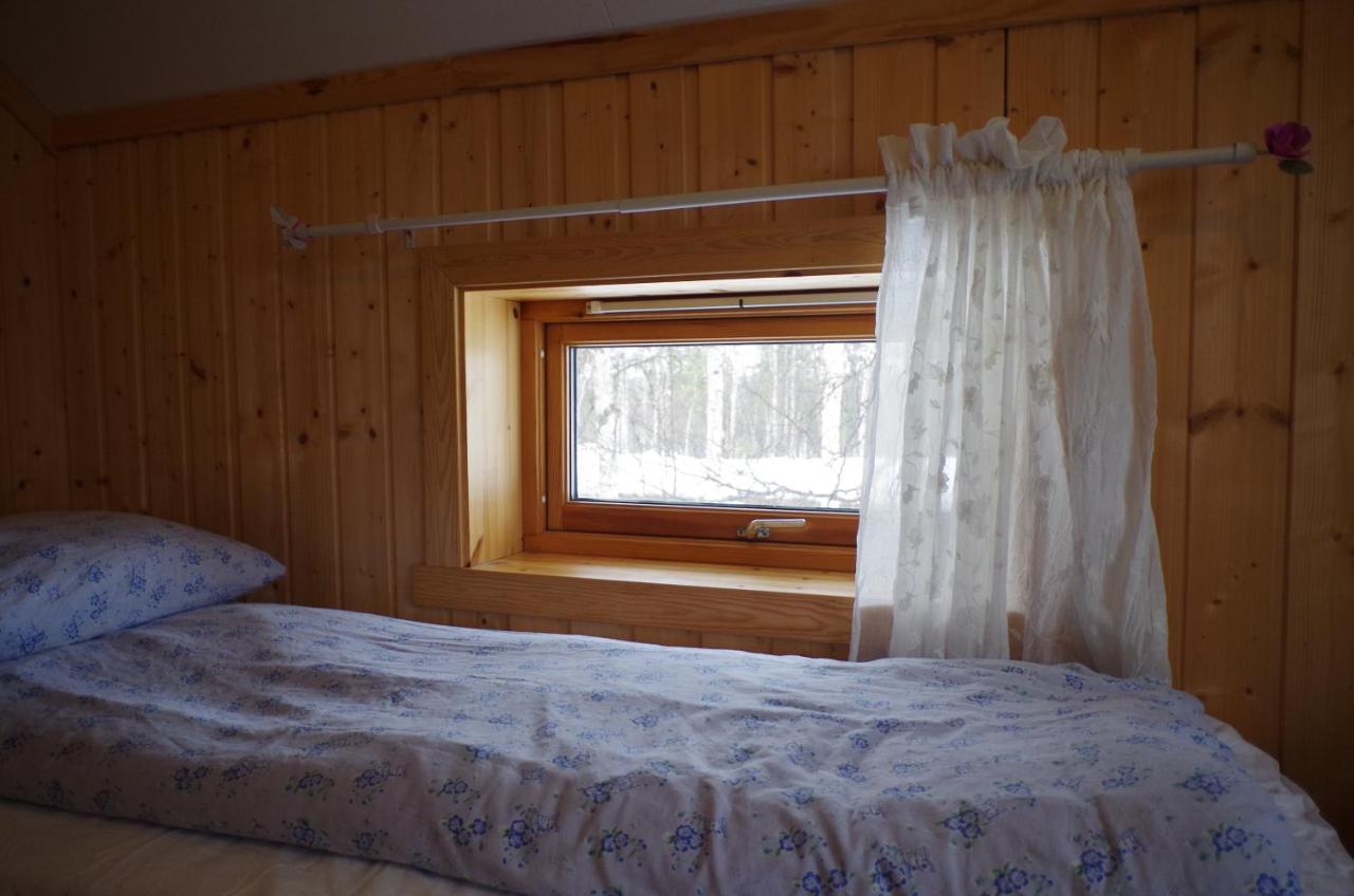 Birk Bed & Birds * Svanvik
