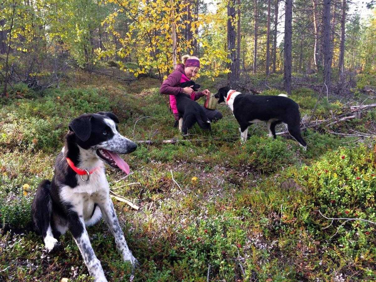 Birk Bed & Birds Bed & Breakfast Svanvik