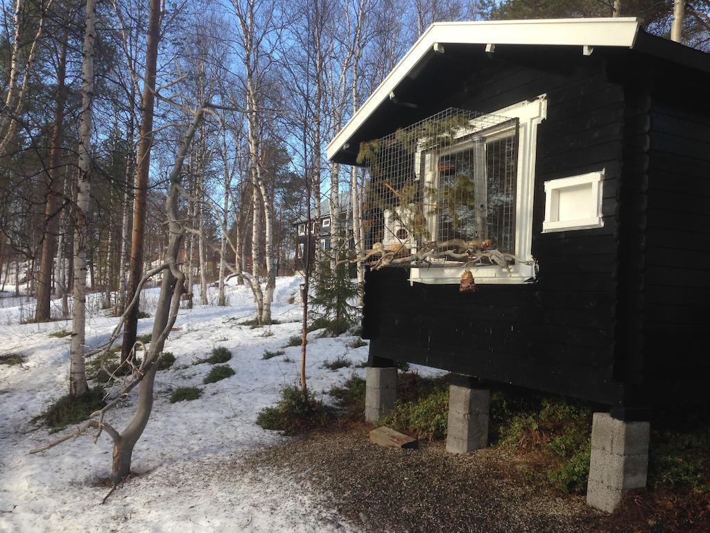 Bed & Breakfast Birk Bed & Birds