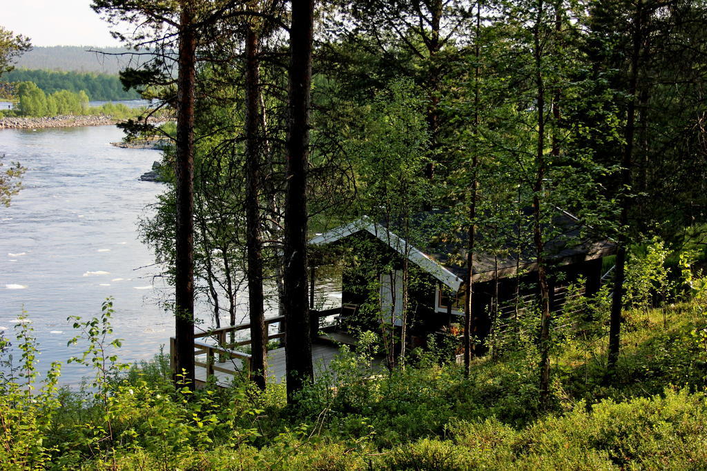 Bed & Breakfast Birk Bed & Birds *